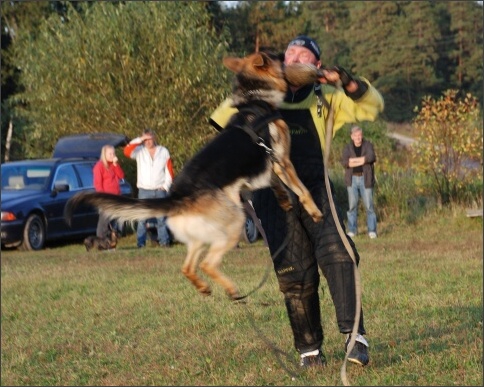 Training in Estonia 9/2007